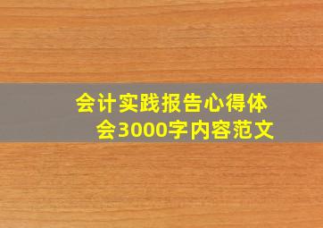 会计实践报告心得体会3000字内容范文