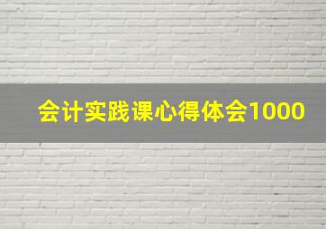 会计实践课心得体会1000