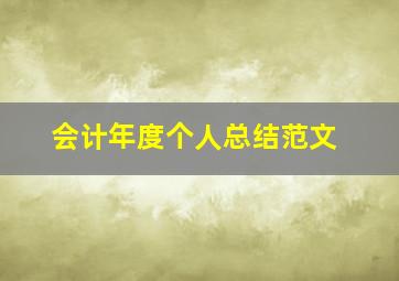 会计年度个人总结范文