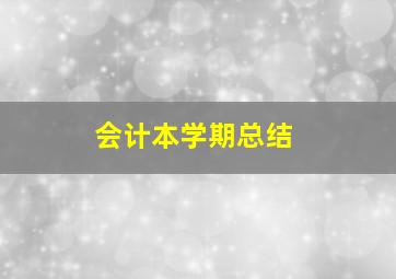 会计本学期总结