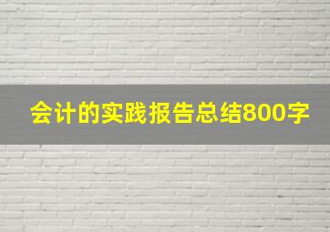 会计的实践报告总结800字