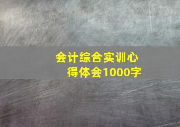 会计综合实训心得体会1000字