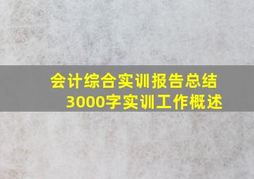 会计综合实训报告总结3000字实训工作概述