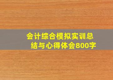 会计综合模拟实训总结与心得体会800字