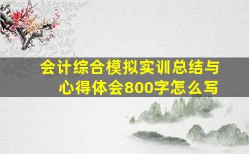 会计综合模拟实训总结与心得体会800字怎么写