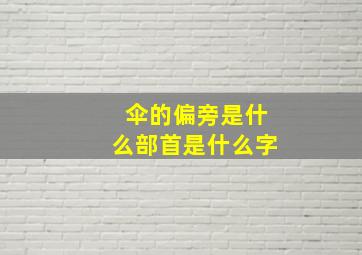 伞的偏旁是什么部首是什么字