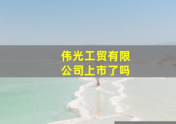 伟光工贸有限公司上市了吗