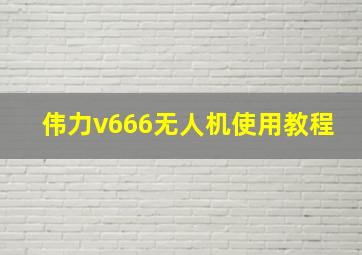 伟力v666无人机使用教程