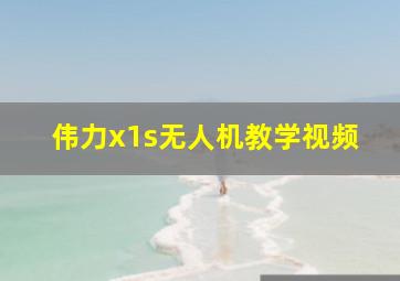 伟力x1s无人机教学视频