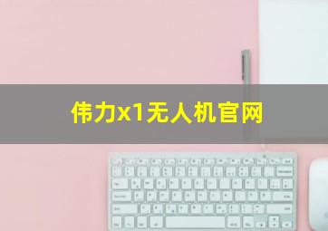 伟力x1无人机官网