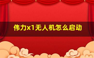 伟力x1无人机怎么启动