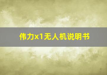 伟力x1无人机说明书