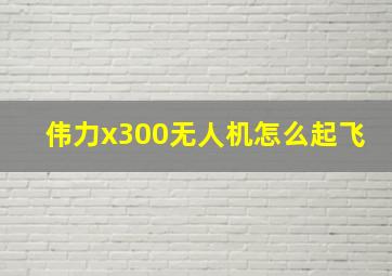 伟力x300无人机怎么起飞