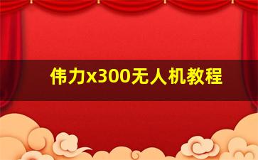 伟力x300无人机教程