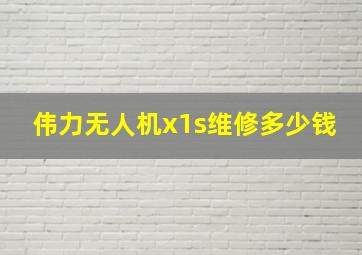 伟力无人机x1s维修多少钱