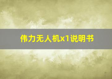 伟力无人机x1说明书