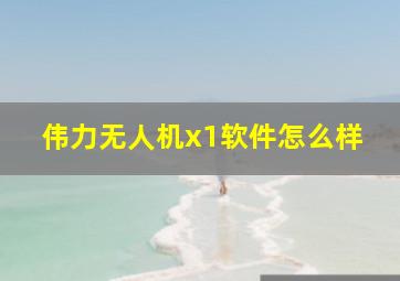 伟力无人机x1软件怎么样