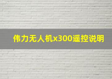 伟力无人机x300遥控说明