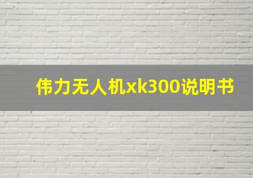 伟力无人机xk300说明书