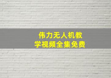 伟力无人机教学视频全集免费