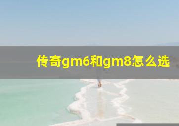 传奇gm6和gm8怎么选