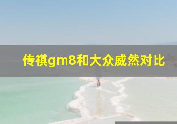 传祺gm8和大众威然对比