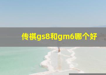 传祺gs8和gm6哪个好