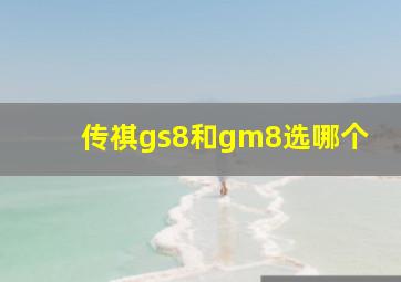 传祺gs8和gm8选哪个