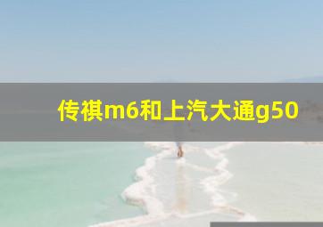 传祺m6和上汽大通g50