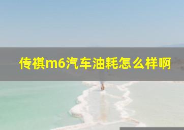 传祺m6汽车油耗怎么样啊