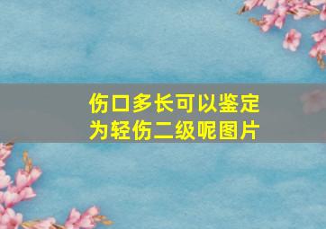 伤口多长可以鉴定为轻伤二级呢图片