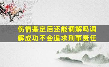 伤情鉴定后还能调解吗调解成功不会追求刑事责任