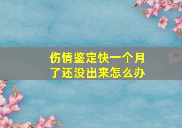 伤情鉴定快一个月了还没出来怎么办