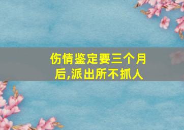 伤情鉴定要三个月后,派出所不抓人