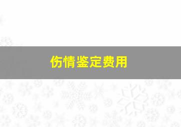 伤情鉴定费用