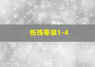 伤残等级1-4