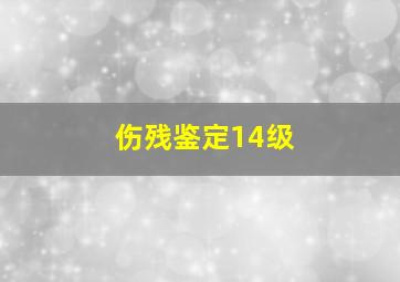 伤残鉴定14级