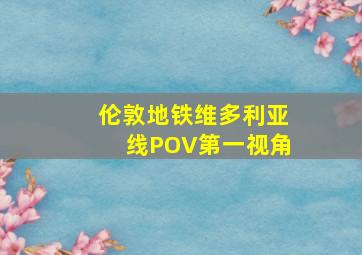 伦敦地铁维多利亚线POV第一视角