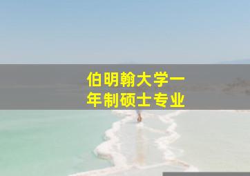 伯明翰大学一年制硕士专业