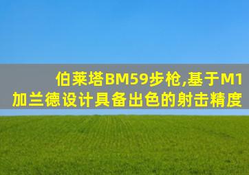 伯莱塔BM59步枪,基于M1加兰德设计具备出色的射击精度