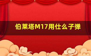 伯莱塔M17用仕么子弹