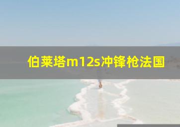 伯莱塔m12s冲锋枪法国