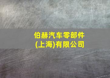 伯赫汽车零部件(上海)有限公司