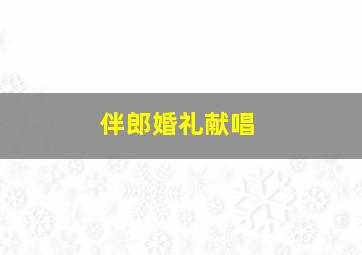 伴郎婚礼献唱