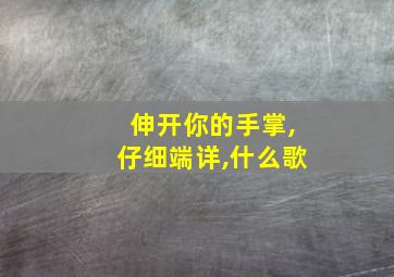 伸开你的手掌,仔细端详,什么歌