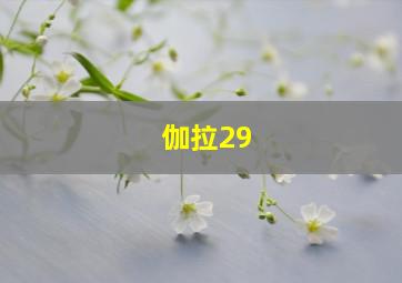 伽拉29