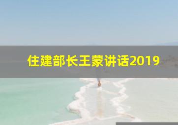 住建部长王蒙讲话2019