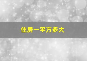 住房一平方多大