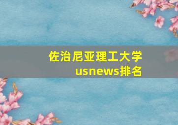 佐治尼亚理工大学usnews排名