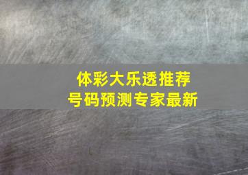 体彩大乐透推荐号码预测专家最新